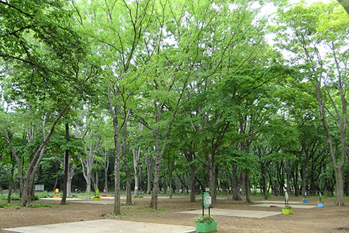 光が丘公園 バーベキュー広場