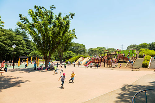 小金井公園