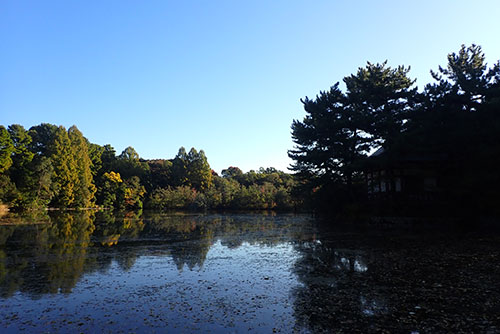 石神井公園