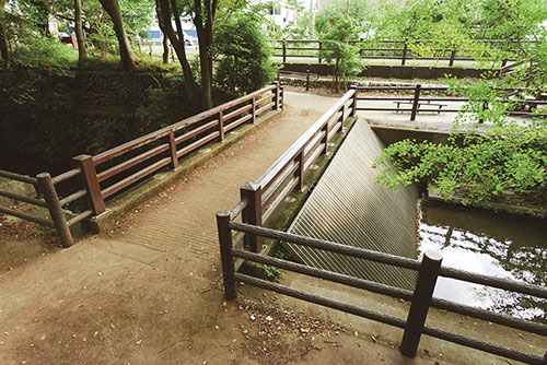 玉川上水緑道（玉川上水）1