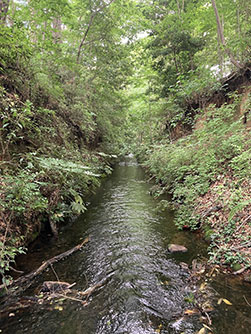 玉川上水緑道（玉川上水）2